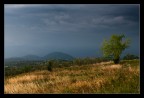 Temporale Temporale