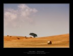 Colori Toscani