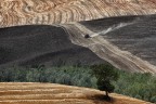 Toscana Toscana