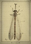 Histoire naturelle Histoire naturelle