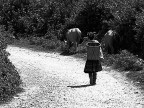 verso casa.... verso casa....
