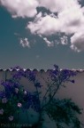 Il Cielo Sopra