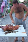 Pocellino Sardu!! Pocellino Sardu!!