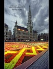 Brussels' Flower Carpet