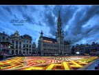Brussels' Flower Carpet 2