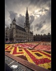 Brussels' Flower Carpet 3 Brussels' Flower Carpet 3