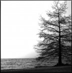 Riva del Garda   Hasselblad C/M con Planar 80 mm su Ilford FP4+