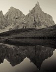 Più che solita Più che solita