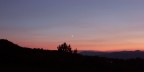 Little Moon Little Moon