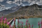 Diga del Serrù Diga del Serrù