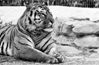la narura crea meraviglie la narura crea meraviglie