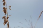 Sicily Sicily