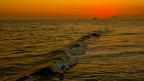The last wave... The last wave...