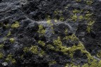 astratti naturali