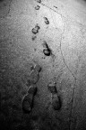 Step stone's Step stone's