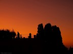 Rosso di sicilia Rosso di sicilia