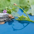 ...la favola continua..