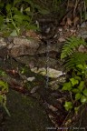 Goccia di vita Goccia di vita