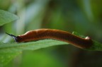 Piano piano..... Piano piano.....