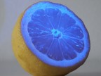 Giallo & blu Giallo & blu