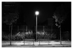 Aspettando Aspettando