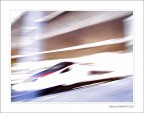 TGV svizzero TGV svizzero