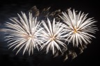 Fireworks #2: Fiori bianchi