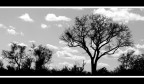 Stillness Stillness