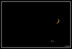 Mezza Luna Mezza Luna
