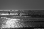 SURF SURF