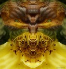 Il nuovo venuto � 2011 riv 2012