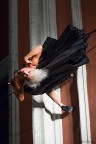 Danza verticale Danza verticale