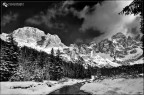 B&W valvenegia B&W valvenegia