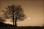 Low moon Low moon