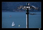 il garda