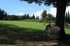 Il grande tappeto erboso Il grande tappeto erboso