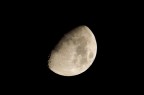 New moon New moon