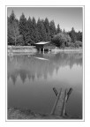 Scorcio del Lago di Fiè - II Ver. Scorcio del Lago di Fiè - II Ver.