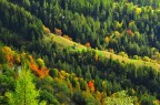 autunno