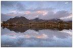 THE MIRROR THE MIRROR