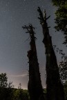 notturna parco d'Abruzzo notturna parco d'Abruzzo