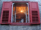 guarda chi passa ... guarda chi passa ...