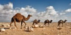 Deserto occidentale, Egitto Deserto occidentale, Egitto