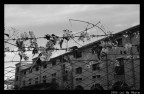 Rovine 2 Rovine 2