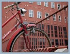 bici all'università bici all'università