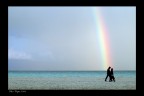 Arcobaleno Arcobaleno
