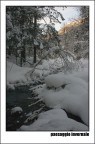 Paesaggio Invernale Paesaggio Invernale