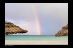 Sembrano i tropici invece.... Sembrano i tropici invece....