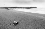 brighton brighton