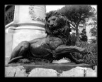 Leone Villa Garibaldi (Pa) Leone Villa Garibaldi (Pa)